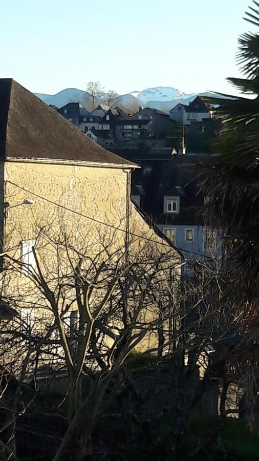 Chambres D'Hotes L'Oustal Oloron-Sainte-Marie Eksteriør bilde
